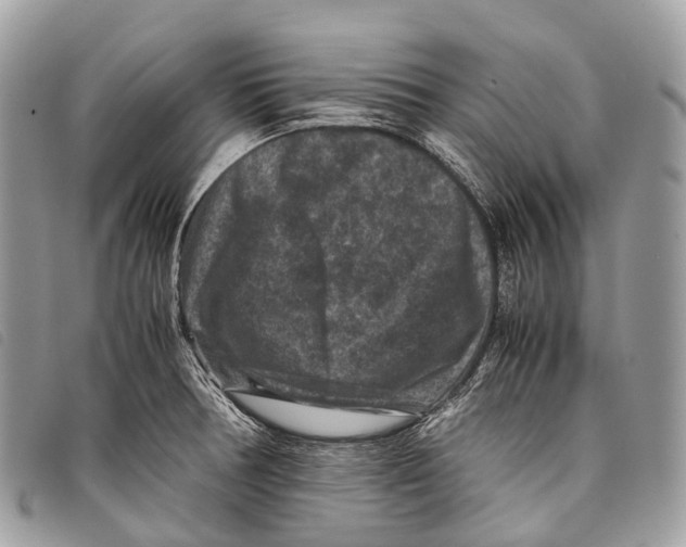 X0000097841378200804111053