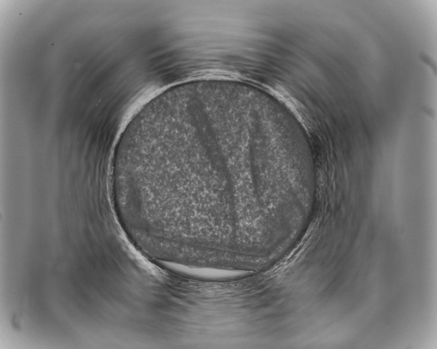 X0000097841379200804111053