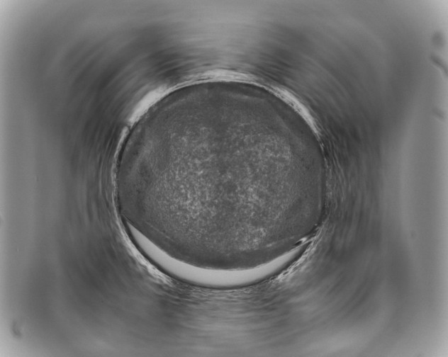 X0000097841381200804111053