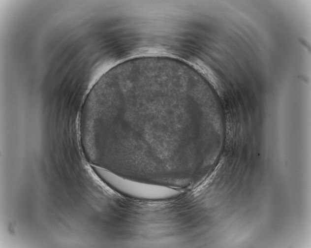 X0000097841382200804111053