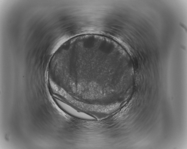 X0000097841383200804111053