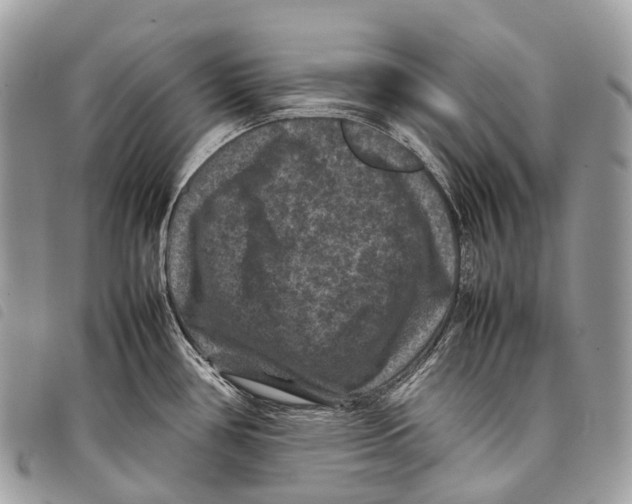 X0000097841386200804111053