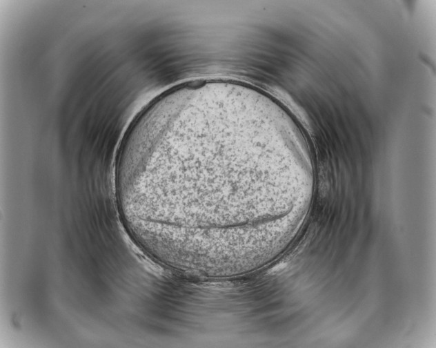X0000097841388200804111053