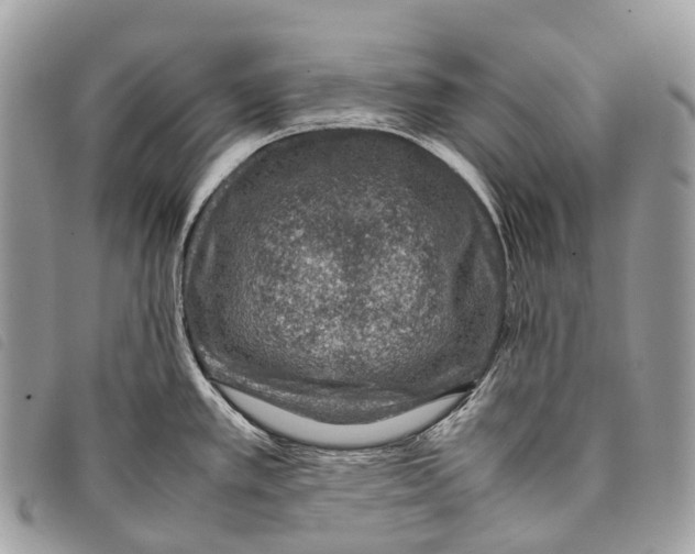 X0000097841389200804111053