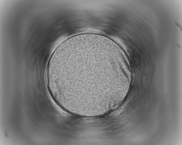 X0000097841391200804111053