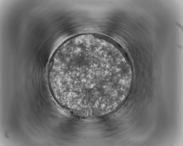 X0000097841392200804111053