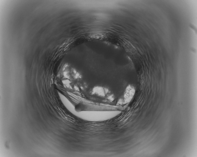 X0000097841394200804111052