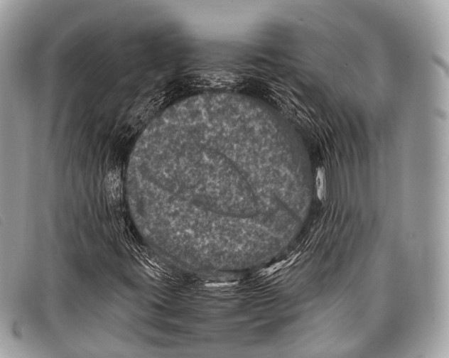 X0000097841395200804111052