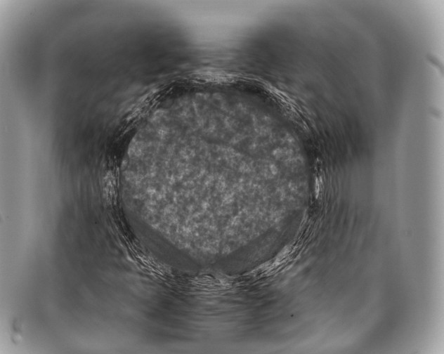 X0000097841397200804111052