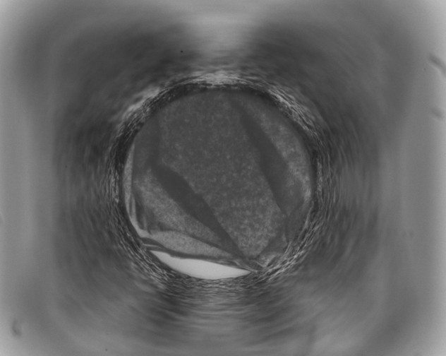 X0000097841398200804111052