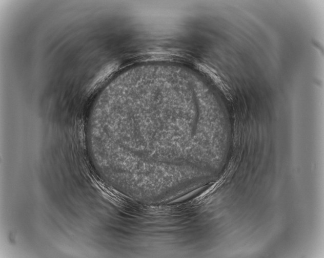 X0000097841403200804111052