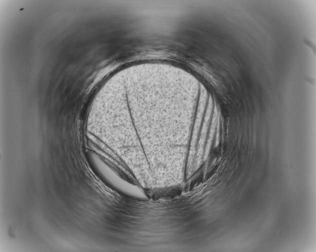 X0000097841404200804111052