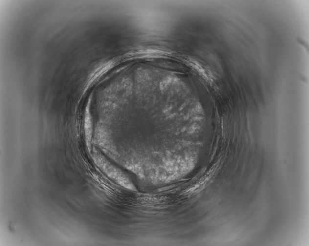 X0000097841405200804111052