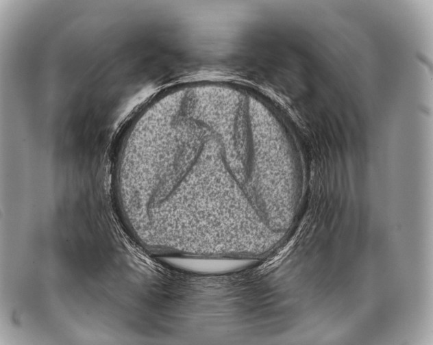 X0000097841406200804111052