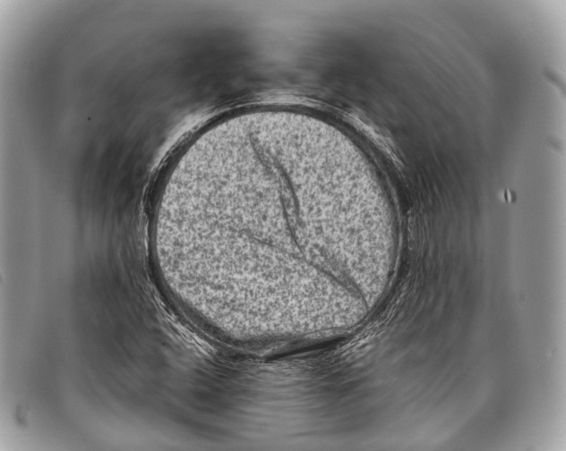X0000097841408200804111053