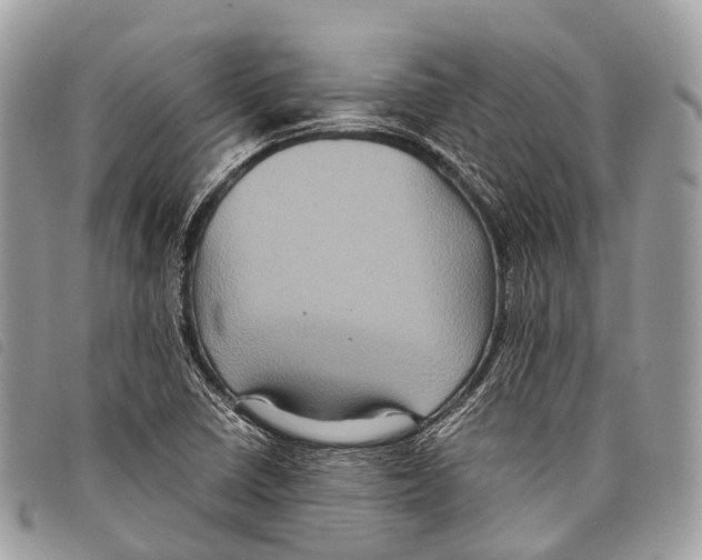 X0000097841410200804111053