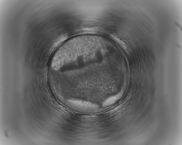 X0000097841411200804111053