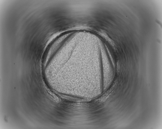 X0000097841412200804111053