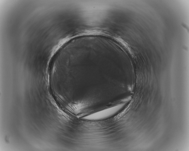 X0000097841414200804111053