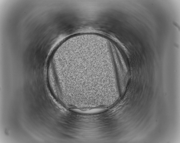 X0000097841416200804111053