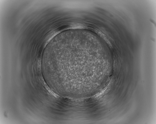 X0000097841417200804111053