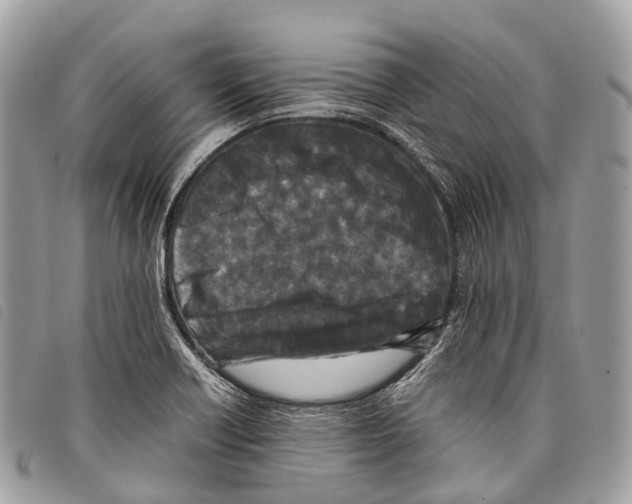 X0000097841418200804111053
