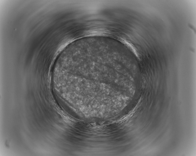 X0000097841419200804111053