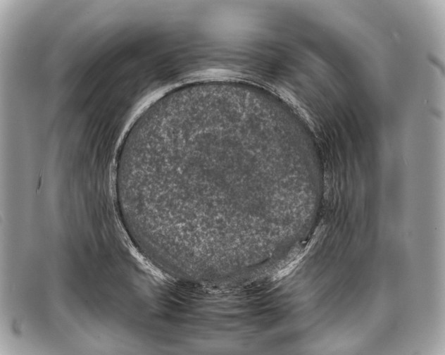 X0000097841421200804111053