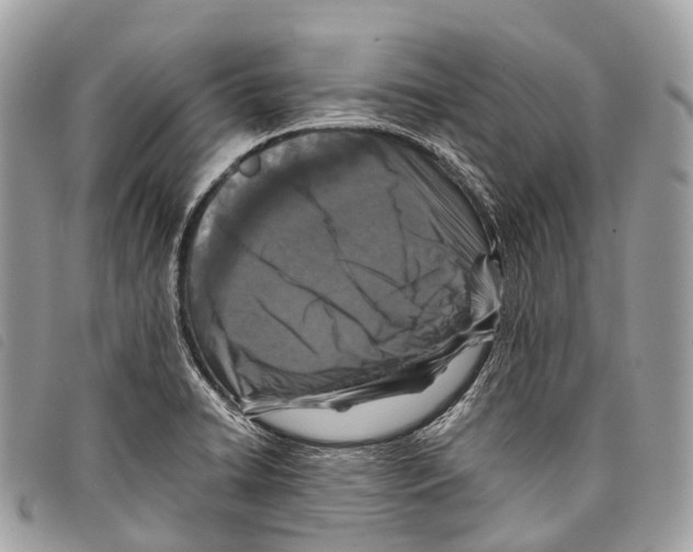 X0000097841422200804111053