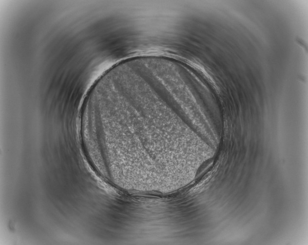 X0000097841424200804111053