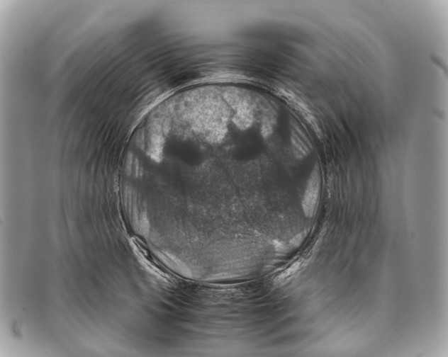 X0000097841425200804111053