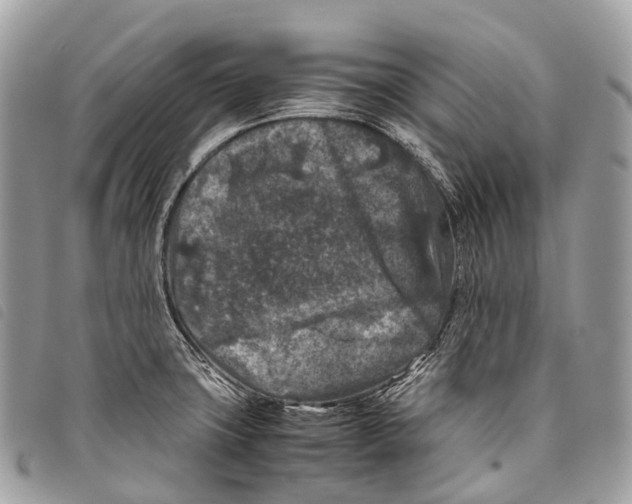X0000097841427200804111053