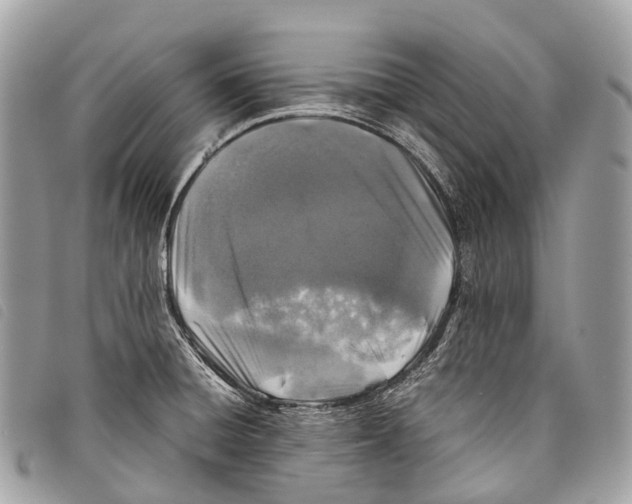 X0000097841428200804111053