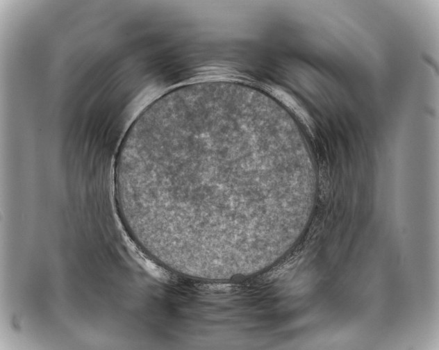 X0000097841431200804111053