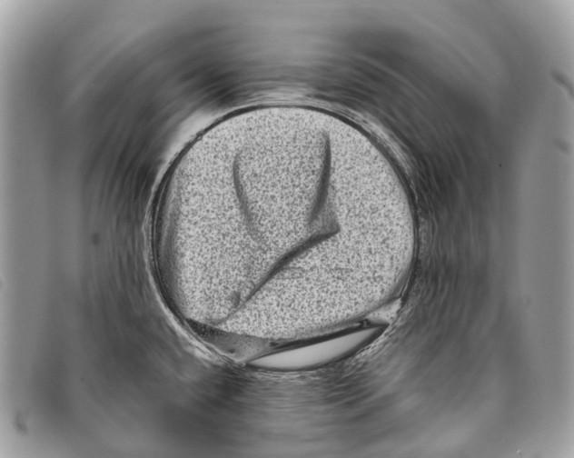 X0000097841432200804111053