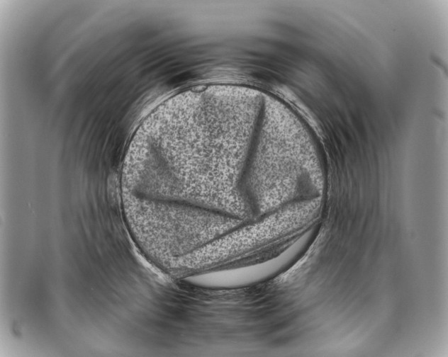 X0000097841433200804111053