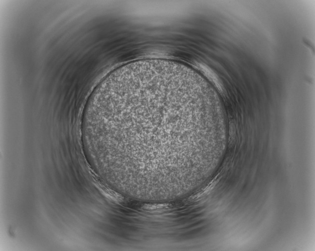 X0000097841435200804111053