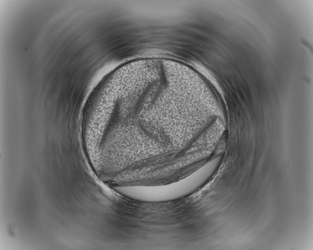 X0000097841437200804111053