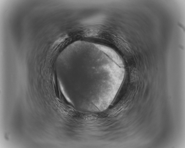X0000097841441200804111052