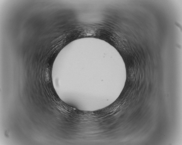 X0000097841442200804111052
