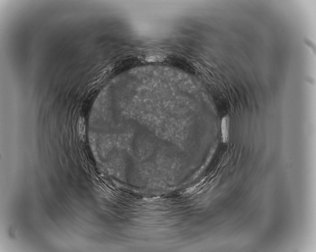 X0000097841443200804111052