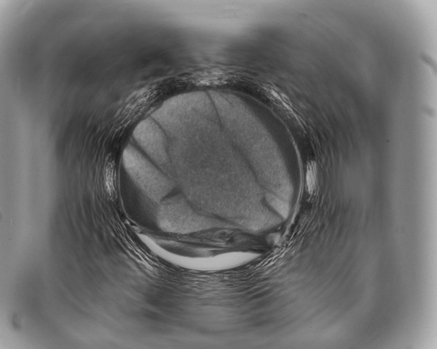 X0000097841444200804111052