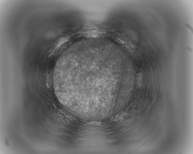 X0000097841446200804111052