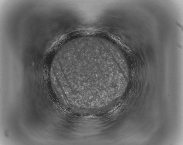 X0000097841447200804111052