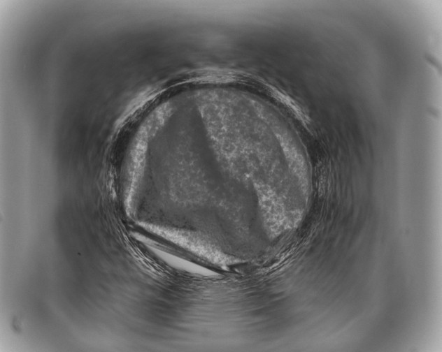 X0000097841448200804111052
