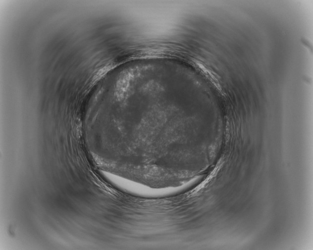 X0000097841449200804111052