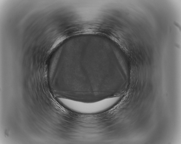 X0000097841450200804111052