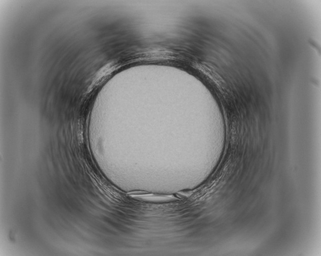 X0000097841451200804111052