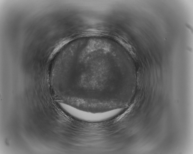 X0000097841453200804111052