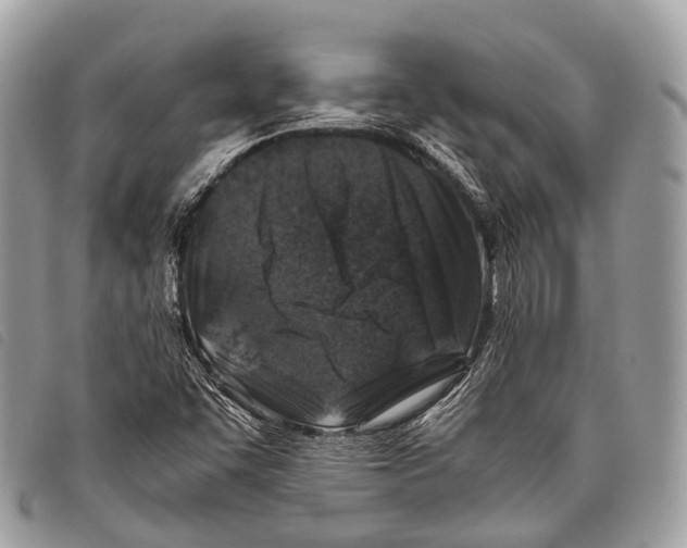 X0000097841455200804111052